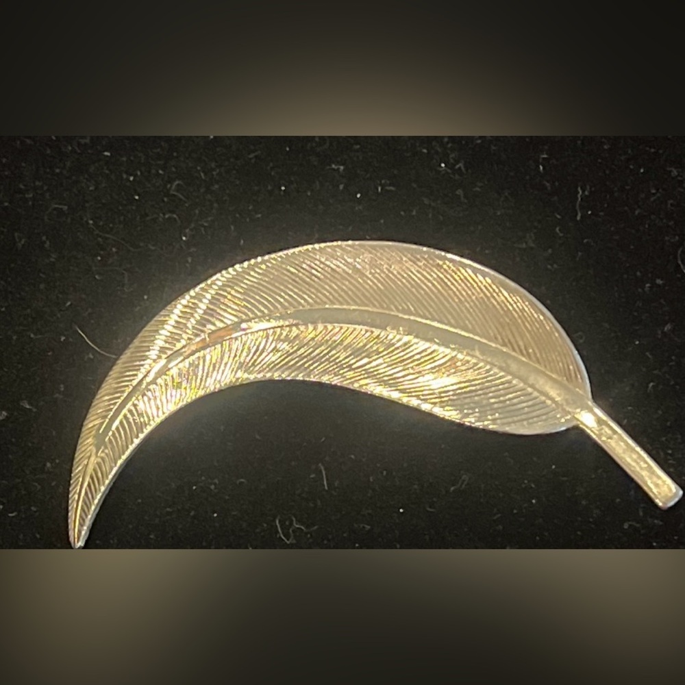 Vintage DFA Feather Brooch